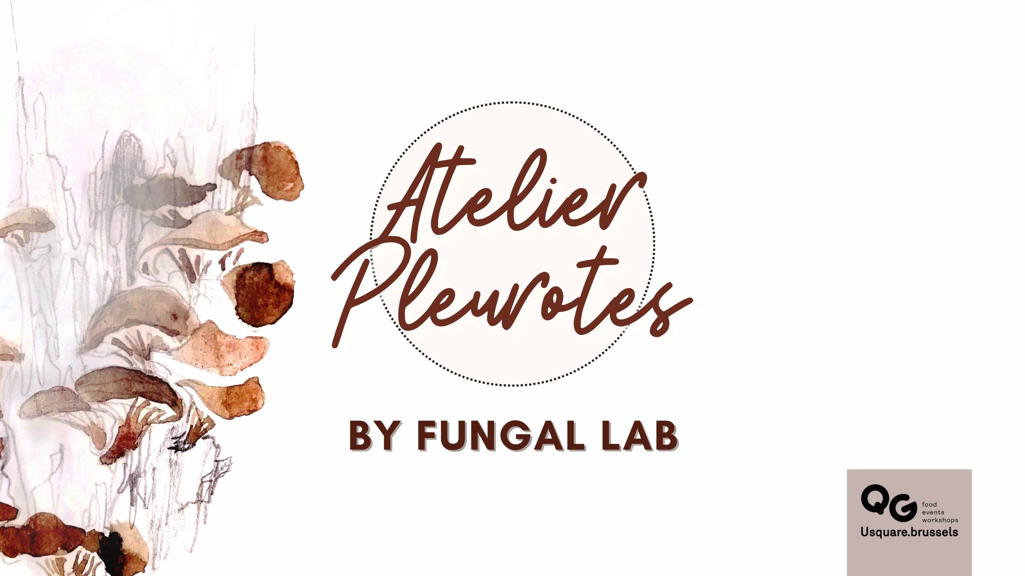 pleurotes