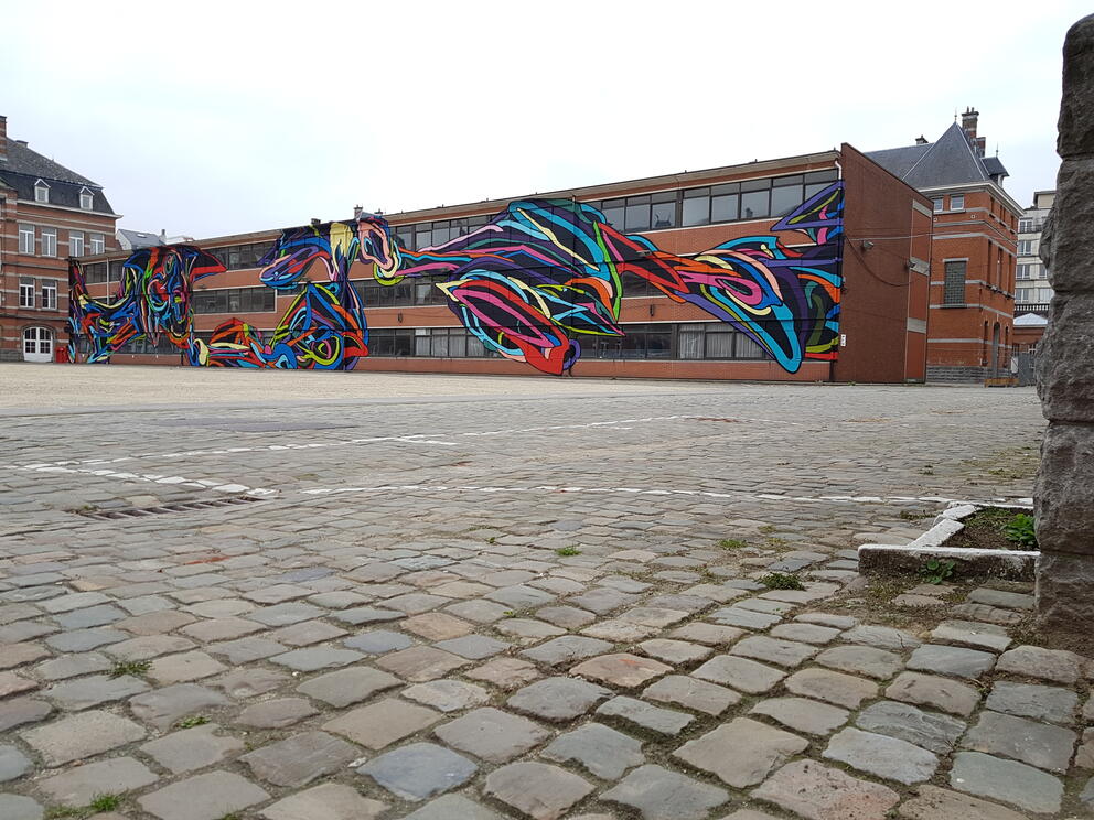 © sau-msi.brussels (P.Sa.)
