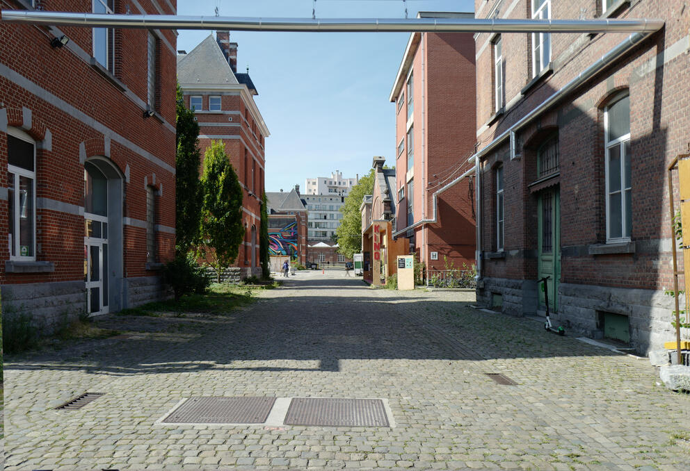 © sau-msi-brussels (Anyoji Beltrando)